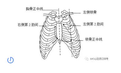 正常心脏的解剖位置？