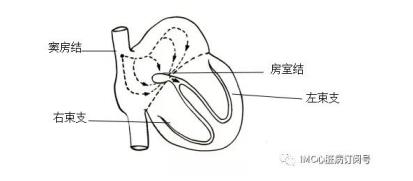 什么是心脏传导系统？